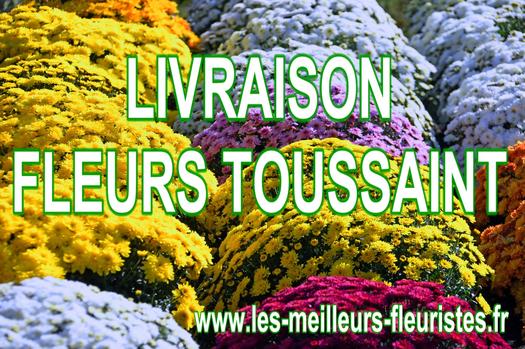 FLEURISTE - FLEURS POUR LA TOUSSAINT 