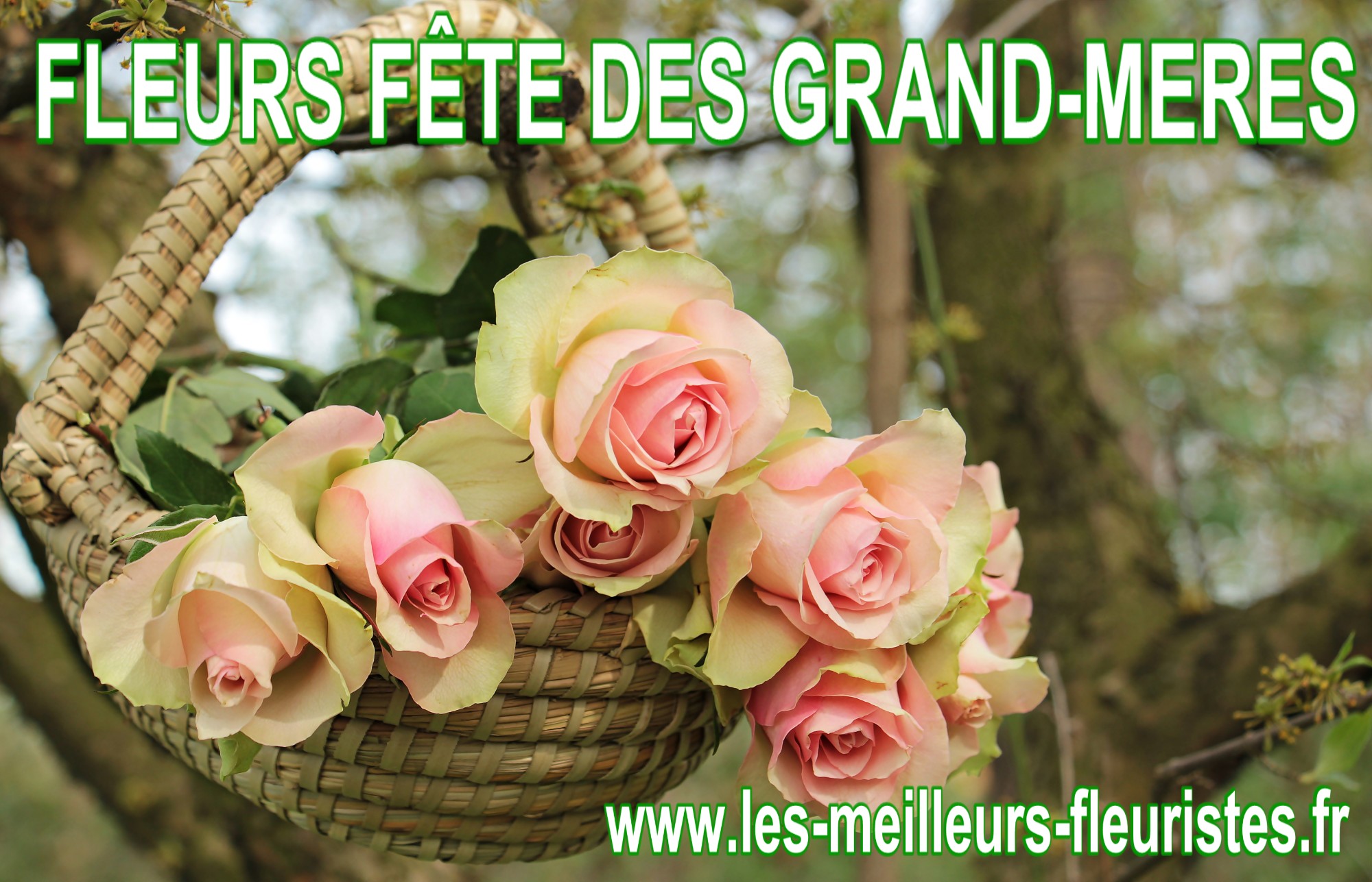 FLEURISTE - FÊTE DES GRAND-MÈRES