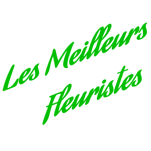 FLEURISTE - LIVRAISON DE FLEURS